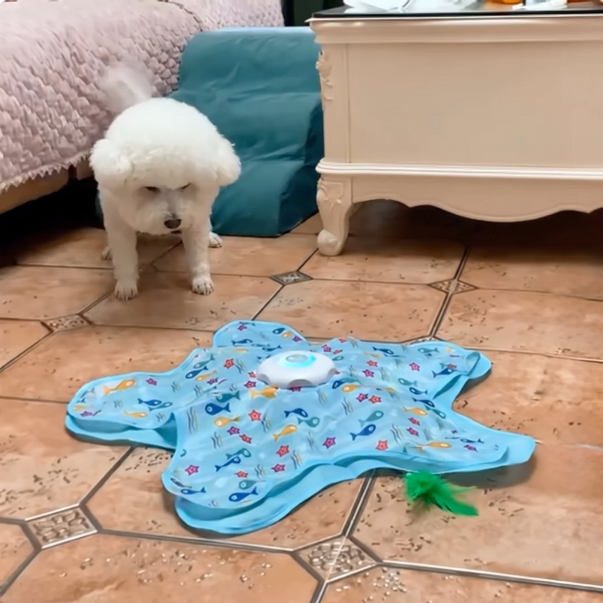 PawPilot™