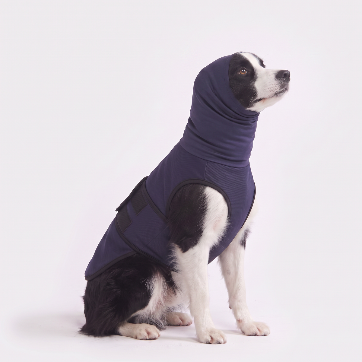 Calmora™ Calming Hood Vest